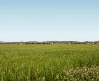 Sale Lands María de la salut