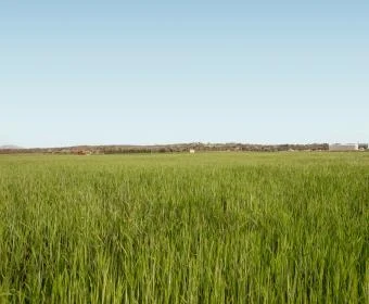 Sale Lands María de la salut