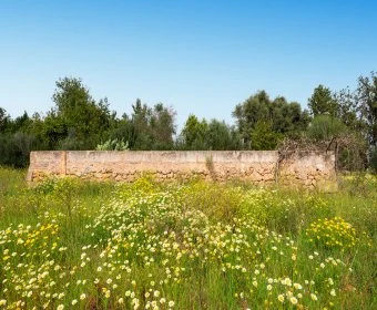 Sale Rustic houses Llubí