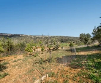 Venta Casas Rústicas Manacor