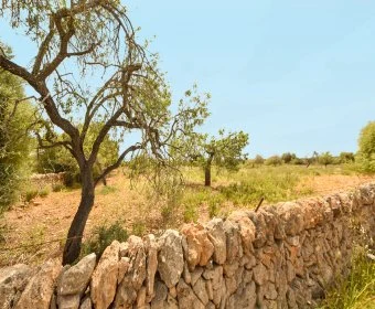 Verkauf landet Calas de Mallorca