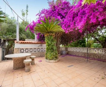 Venta Casas Rústicas Manacor