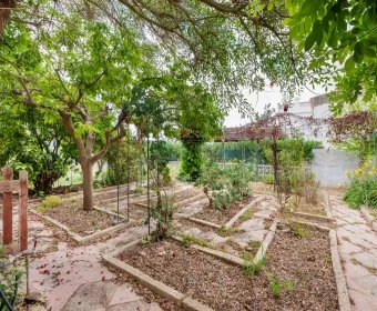 Venta Casas Rústicas Manacor