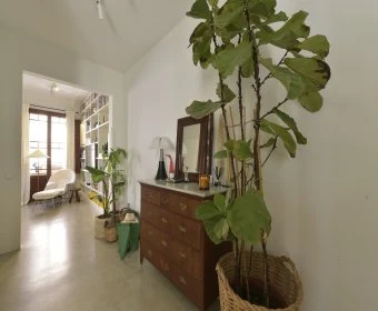 Venta Casas Capdepera