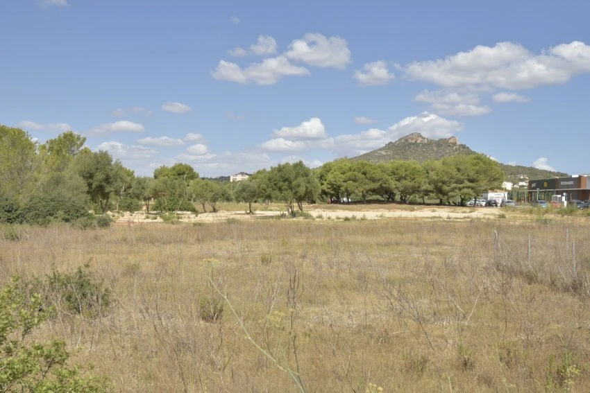 Venta Terrenos Cala Millor