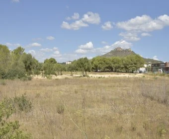 Venta Terrenos Cala Millor