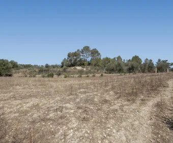 Sale Rustic houses María de la salut