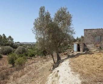 Sale Rustic houses María de la salut