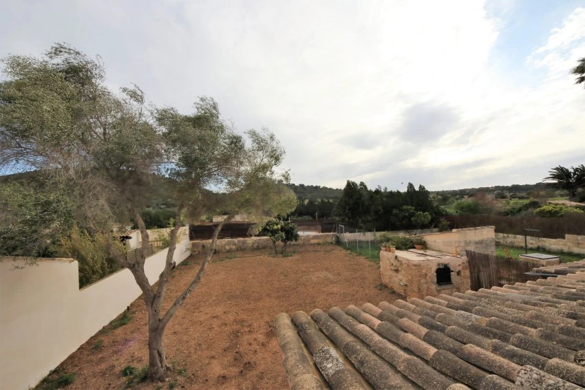 Rent Houses Son Carrio