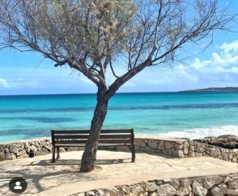 Sale Apartments Cala Millor