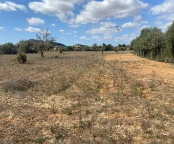 Venta Terrenos Felanitx