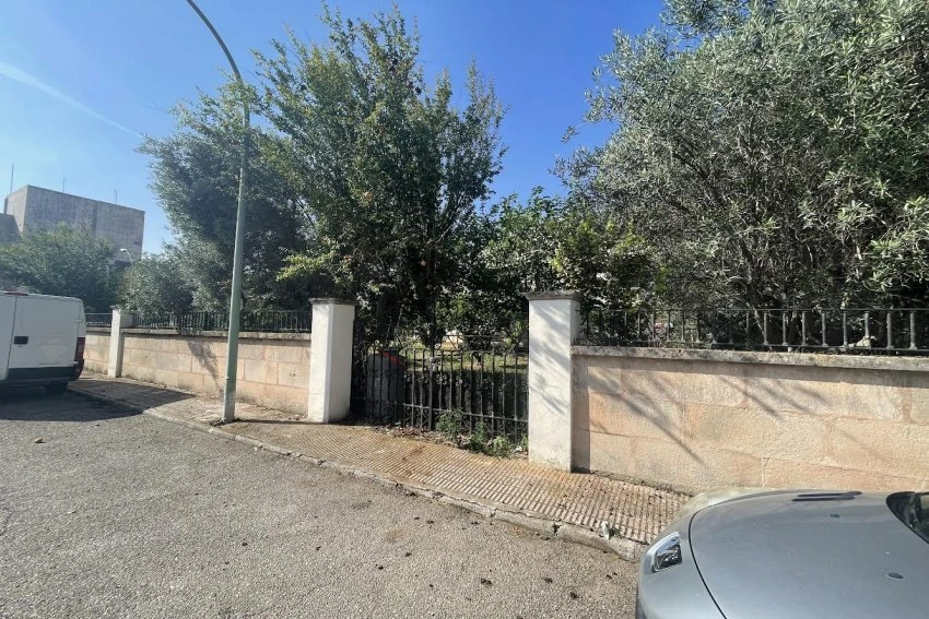 Venta Terrenos Manacor