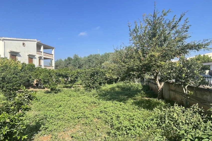 Venta Terrenos Manacor