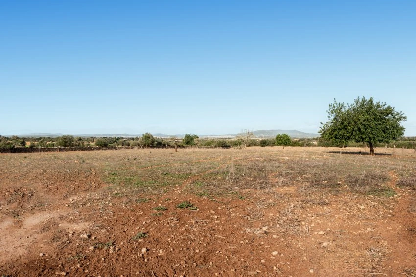 Venta Casas Rústicas Manacor