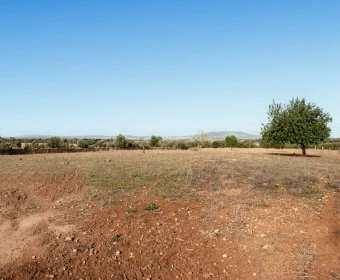 Venta Casas Rústicas Manacor