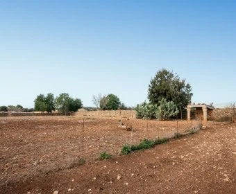 Venta Casas Rústicas Manacor