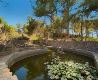 Venta Casas Rústicas Felanitx