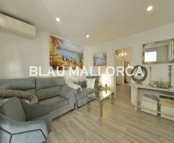 Sale Rustic houses Porto Cristo