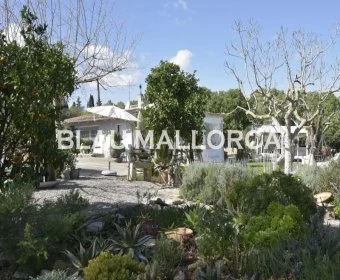 Sale Rustic houses Porto Cristo