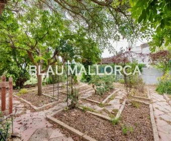 Sale Rustic houses Manacor