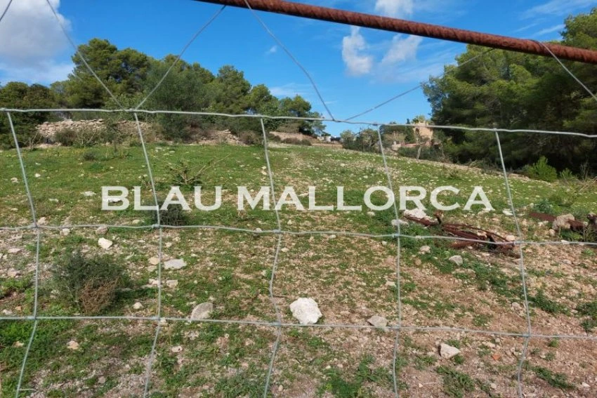 Sale Rustic houses Son Servera