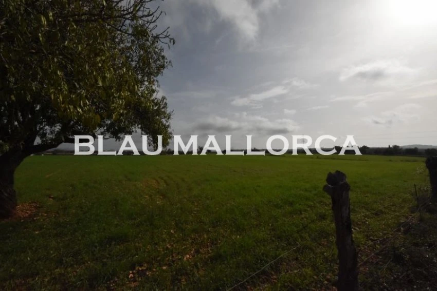 Sale Rustic houses Manacor