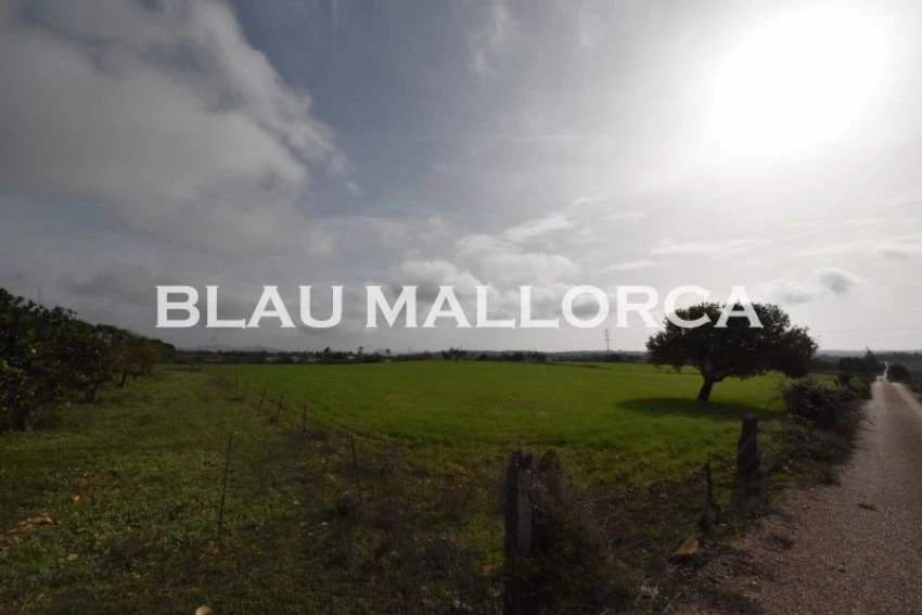 Sale Rustic houses Manacor