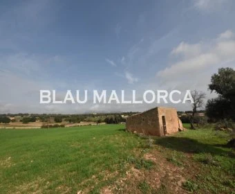 Sale Rustic houses Manacor