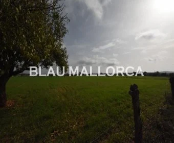 Sale Rustic houses Manacor