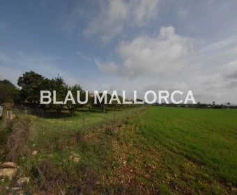 Sale Rustic houses Manacor