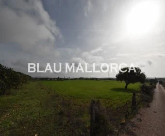 Sale Rustic houses Manacor
