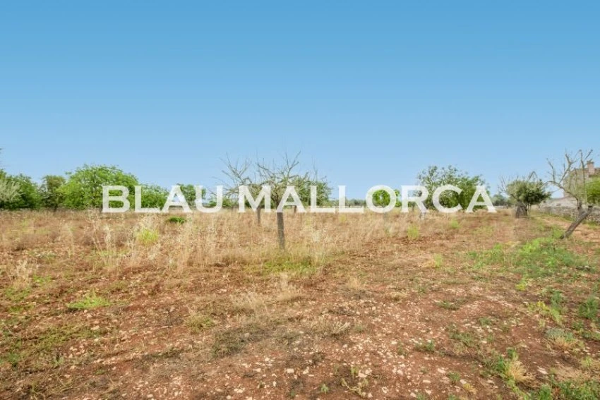 Sale Rustic houses María de la salut