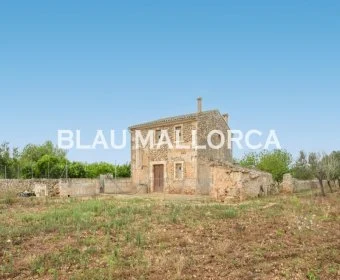 Sale Rustic houses María de la salut