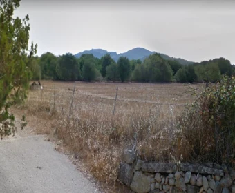 Venta Terrenos Felanitx