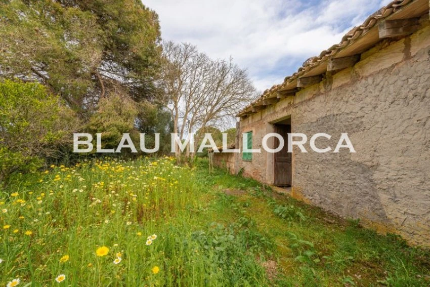 Sale Rustic houses Manacor