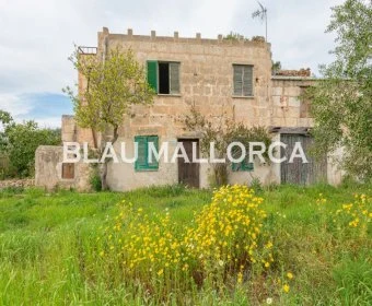 Sale Rustic houses Manacor