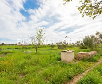 Sale Rustic houses Manacor