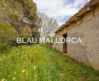 Sale Rustic houses Manacor