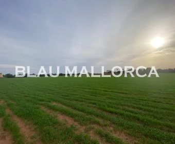 Verkauf landet Campos