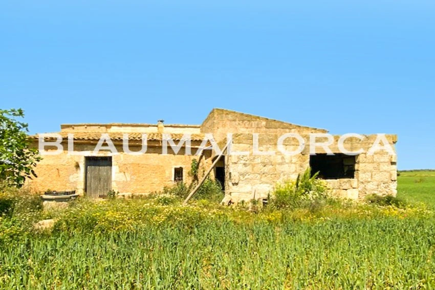 Sale Rustic houses Manacor