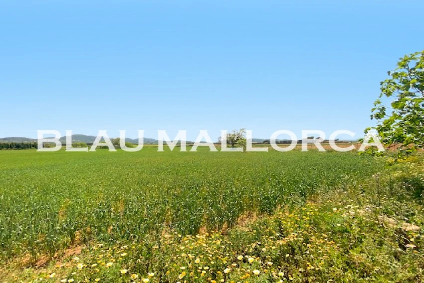 Sale Rustic houses Manacor