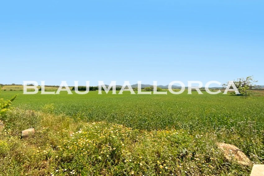 Sale Rustic houses Manacor