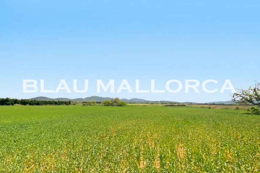 Sale Rustic houses Manacor