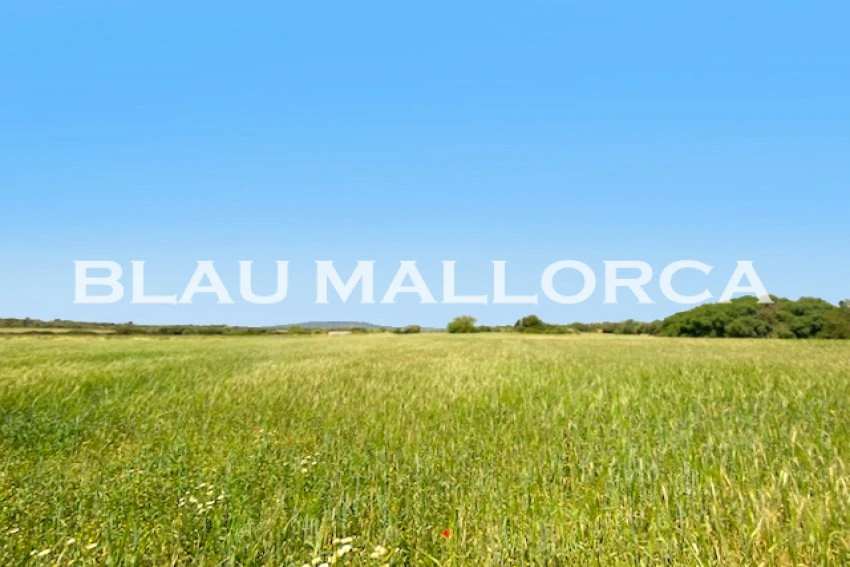 Sale Rustic houses Manacor