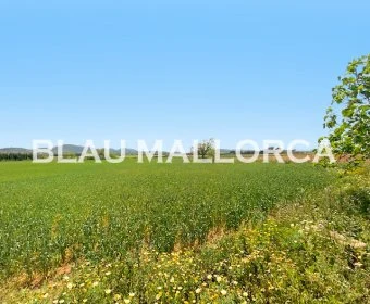 Sale Rustic houses Manacor