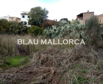 Sale Urban solar Petra