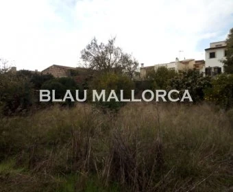 Sale Urban solar Petra