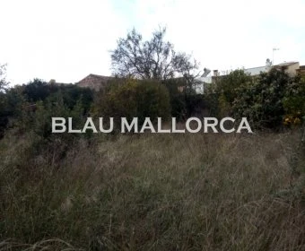 Sale Urban solar Petra