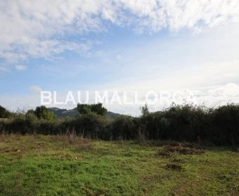 Venta Terrenos Felanitx