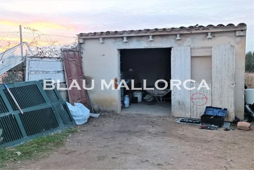 Sale Rustic houses Manacor
